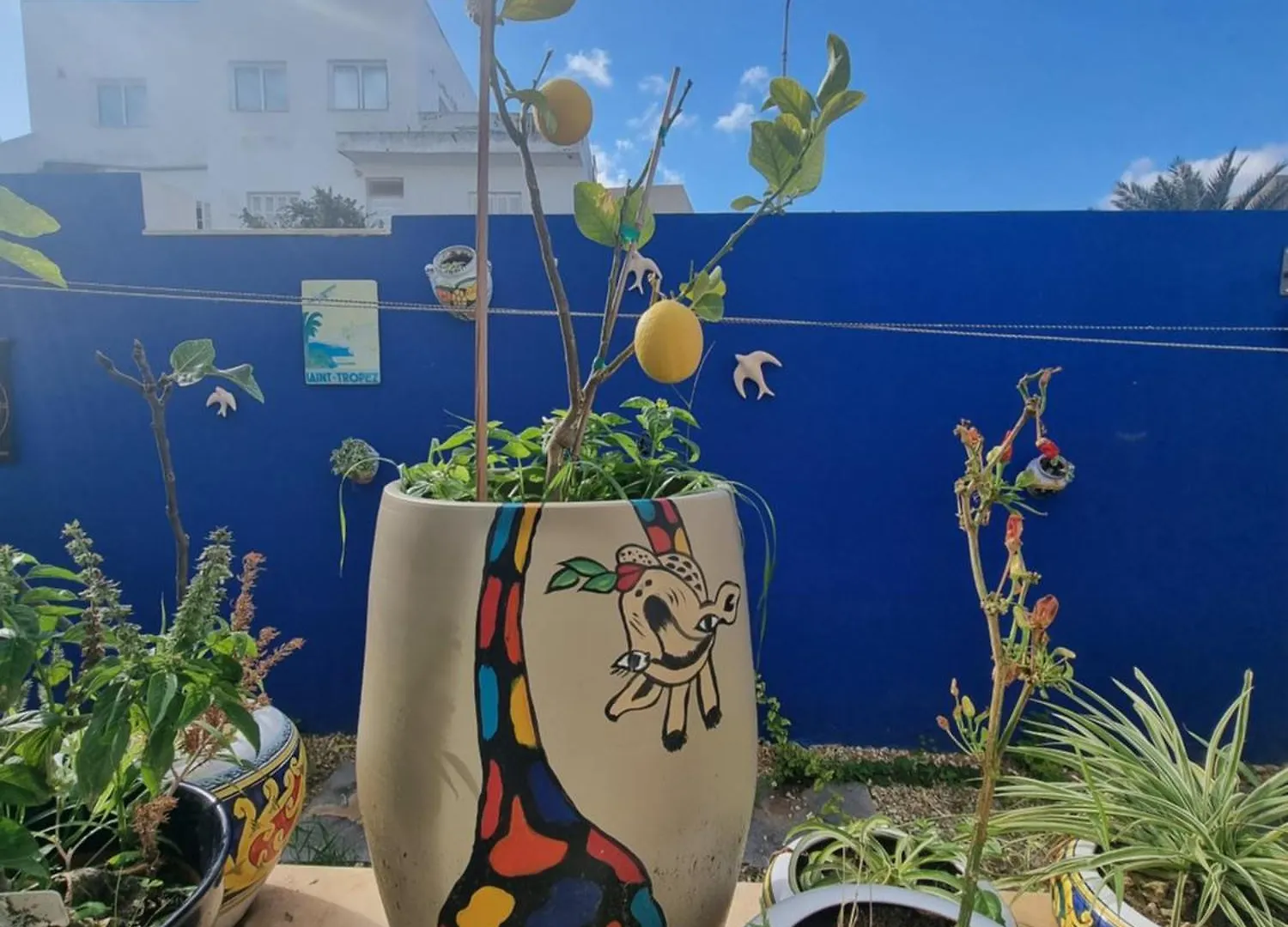 Appartamento Ghamarth Mikonos Gammarth